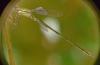 313774 – Photo : Florian ALONSO – France (21)